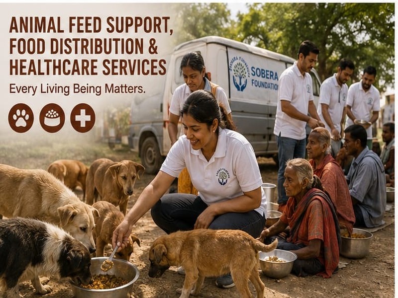 Animal Feed Support, Food Distribution & Healthcare Services